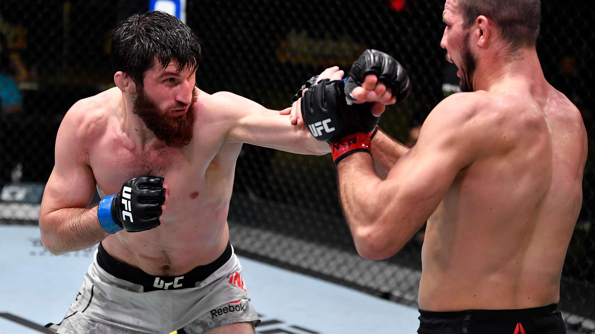 人物的担当 人物的担当